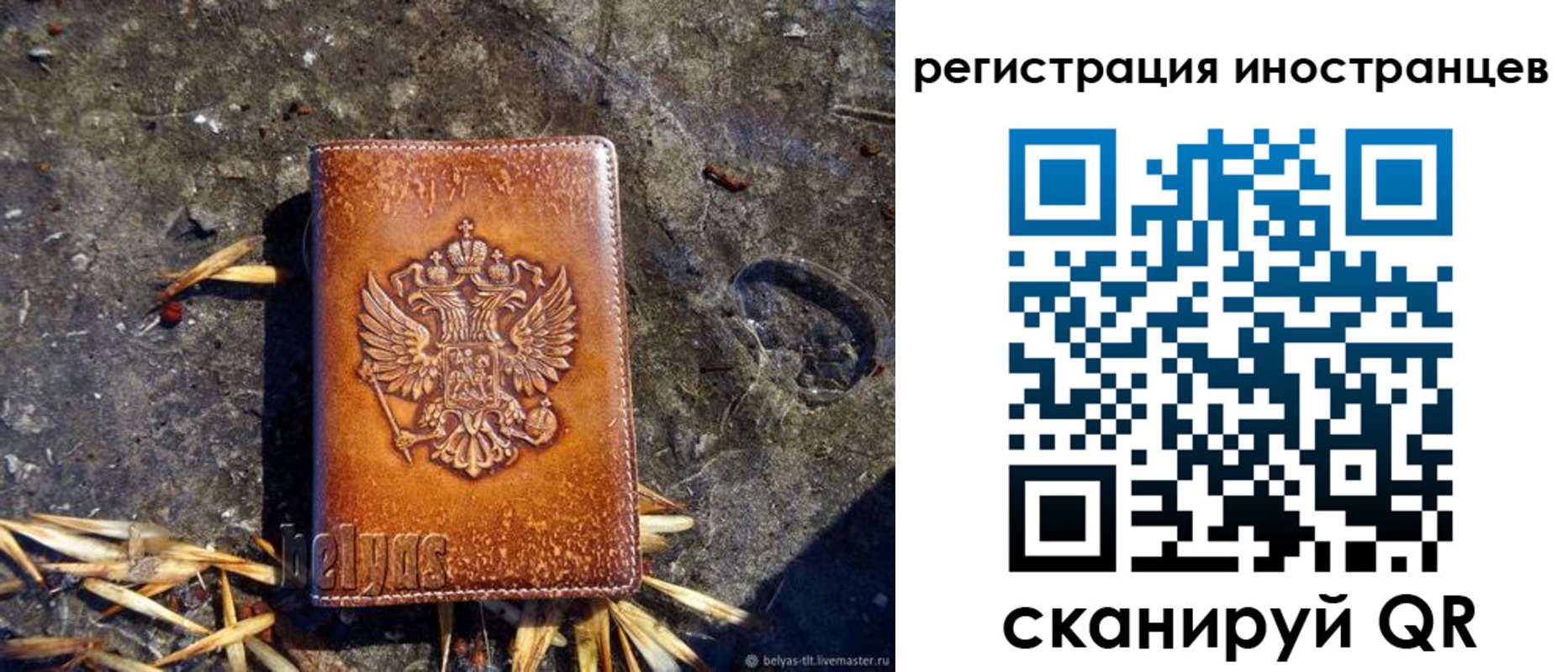 прописка регистрация в Владимирской области
